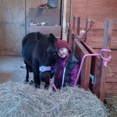 Anden særlig race Findus