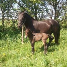 Oldenborg cindy nygård