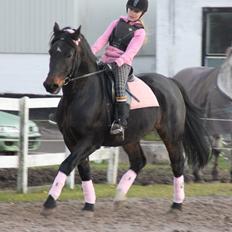 Anden særlig race Krumme *Part*