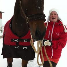 Dansk Varmblod Landeur (Litan)