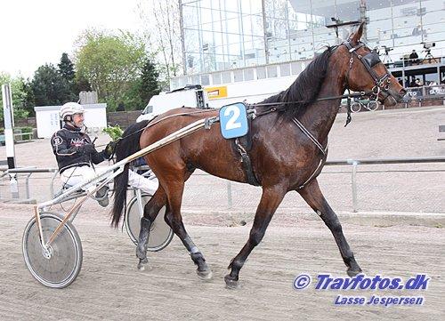 Traver Scott Salløv billede 5