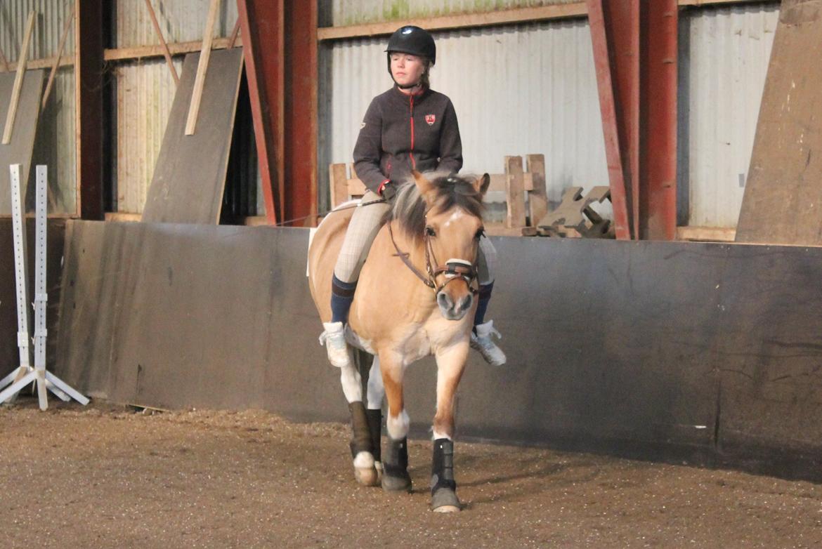 Anden særlig race Emma Merci (Min prinsesse) mit et & alt<3 - Jeg savner tiden, hvor det hed dig og mig!
Elsker dig! <3
 billede 16