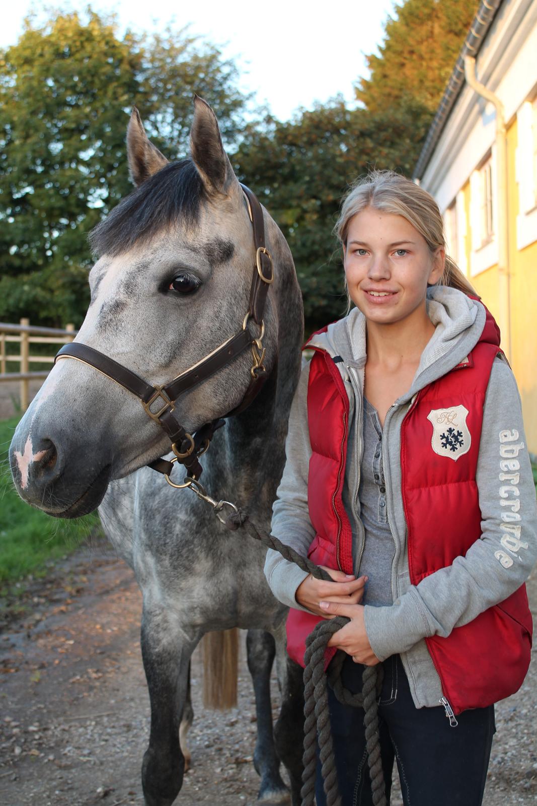 Hollandsk Sportspony Kylah W - "et smil betyder nødvendigvis ikke, at man er glad, men at man et stærk nok til at smile selvom det gør ondt" billede 15