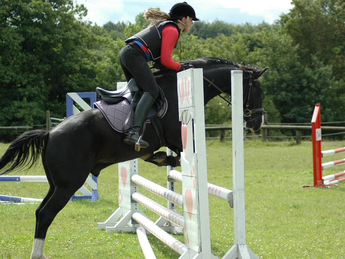 Anden særlig race Bertil - Ridelejr, sommeren 2012. billede 12