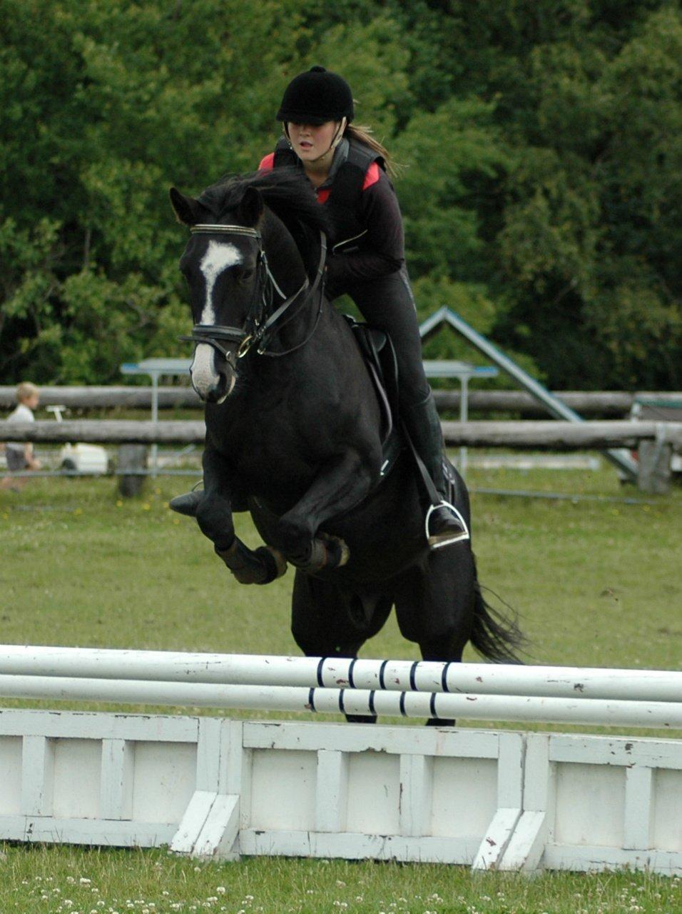 Anden særlig race Bertil - Ridelejr sommeren 2012. billede 8