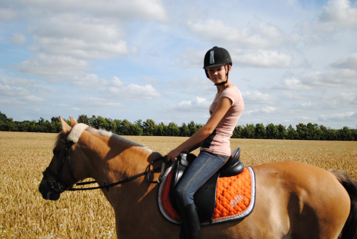 Anden særlig race Lilli min alt. Aldrig glemt i hjertet gemt!! billede 7