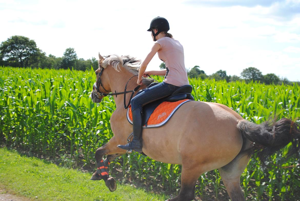 Anden særlig race Lilli min alt. Aldrig glemt i hjertet gemt!! - I vores rette element<3 billede 8