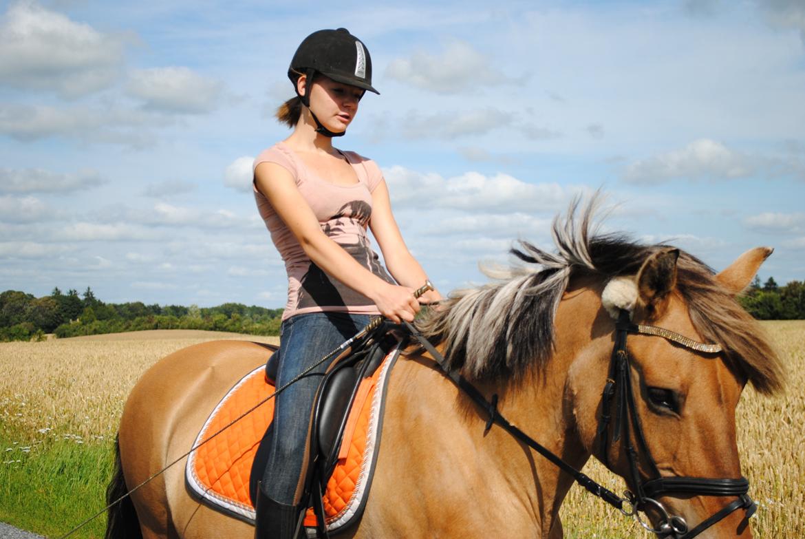 Anden særlig race Lilli min alt. Aldrig glemt i hjertet gemt!! billede 1