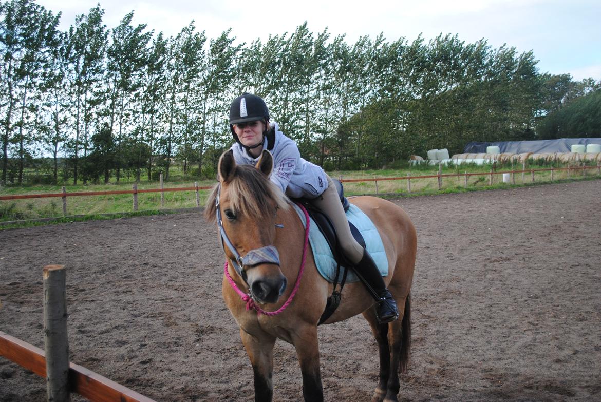 Anden særlig race Lilli min alt. Aldrig glemt i hjertet gemt!! billede 11