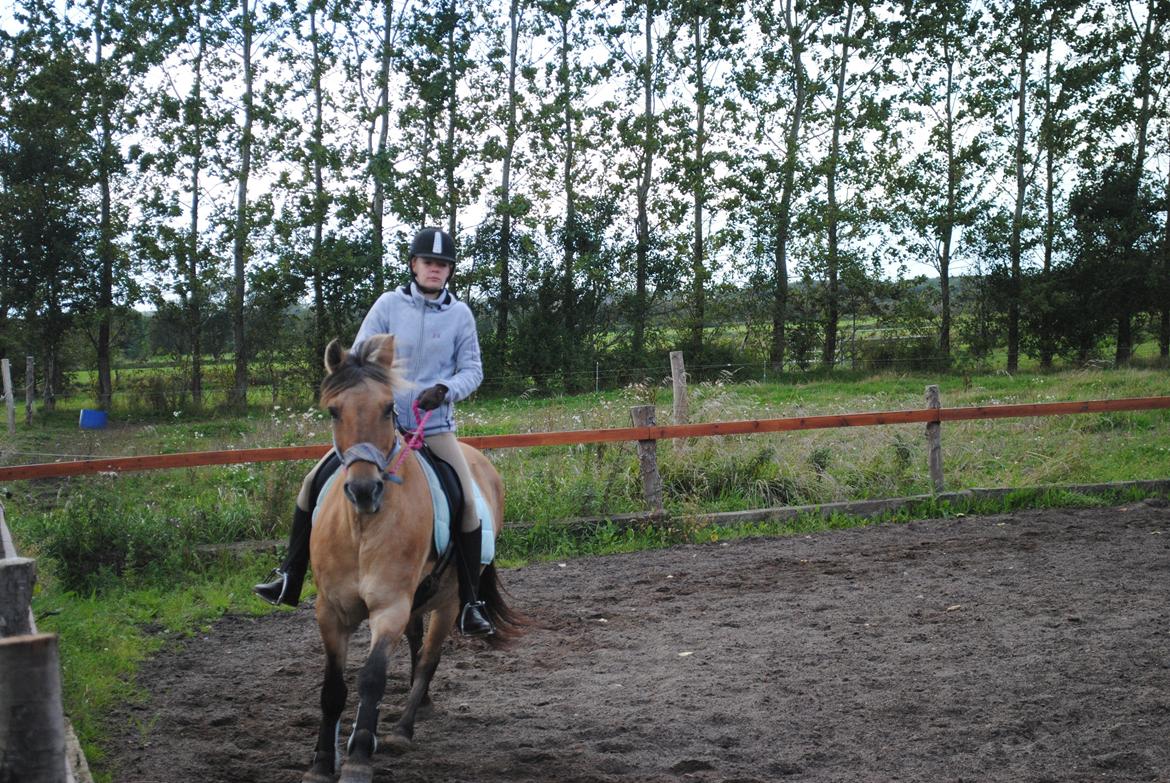 Anden særlig race Lilli min alt. Aldrig glemt i hjertet gemt!! billede 12