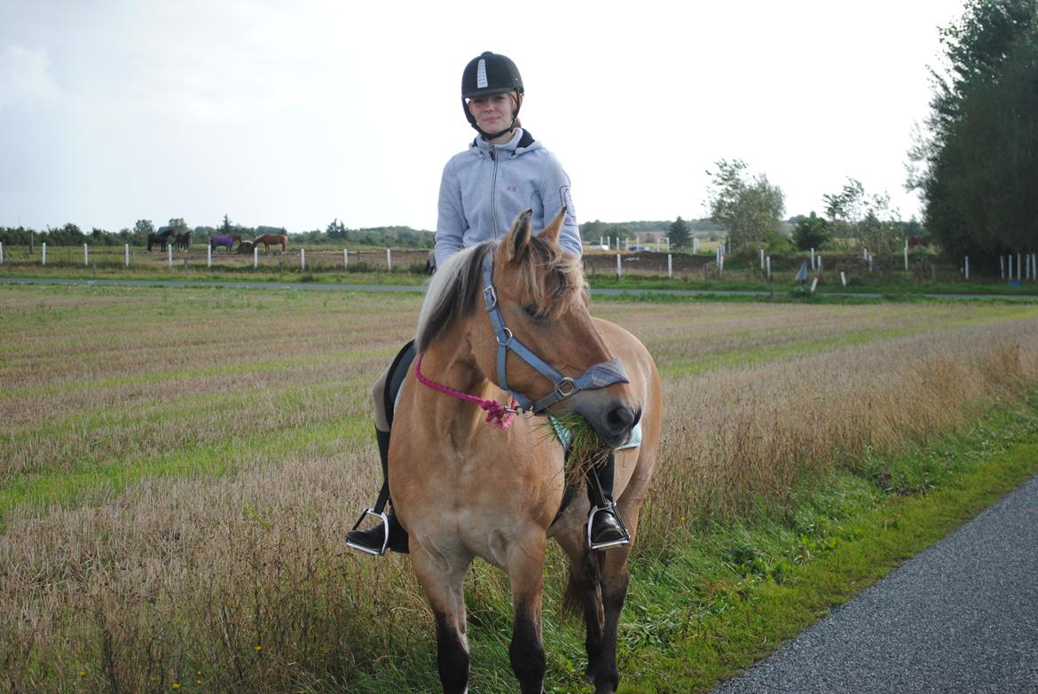 Anden særlig race Lilli min alt. Aldrig glemt i hjertet gemt!! - Sidste tur med dig :'( billede 14