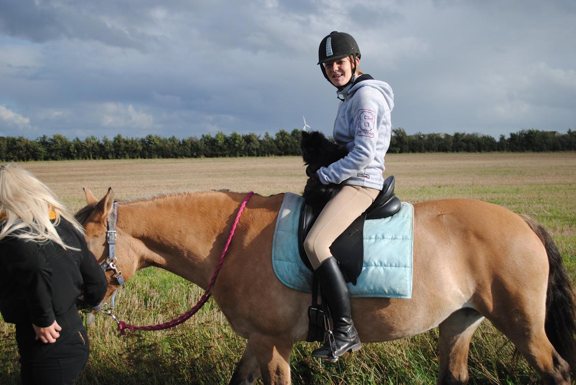 Anden særlig race Lilli min alt. Aldrig glemt i hjertet gemt!! - Teddy ville også lige have den sidste tur på dig :') billede 15