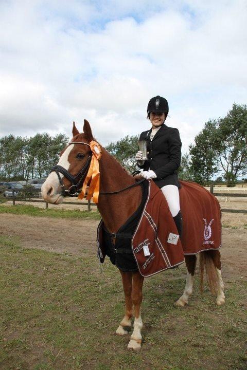 Anden særlig race Webster muss <3 - (8) klubmester 2012 i dressur på Falken rideklub, for kat 1 billede 8