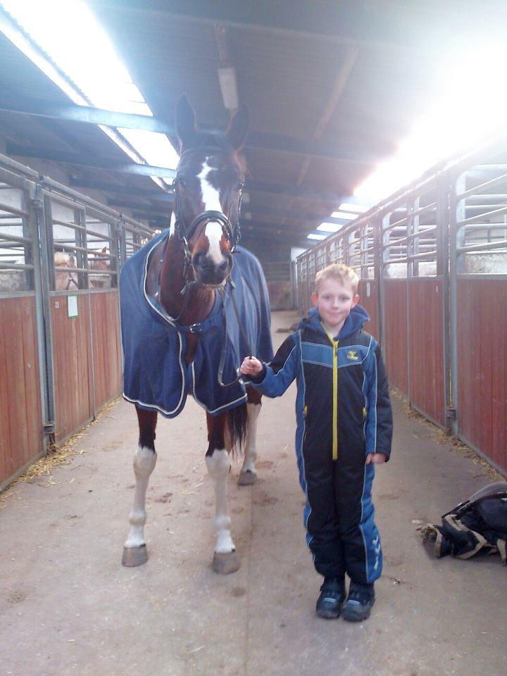 Pinto Kejser billede 3