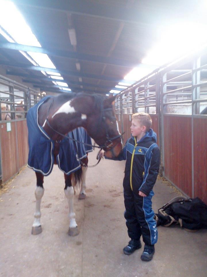 Pinto Kejser billede 7