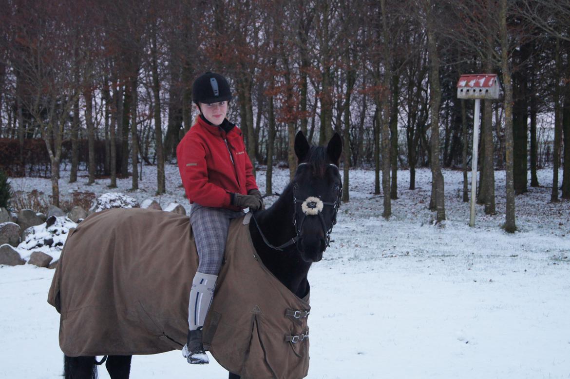 Anden særlig race BLACKIE - 2/12 - 12 I haven billede 19