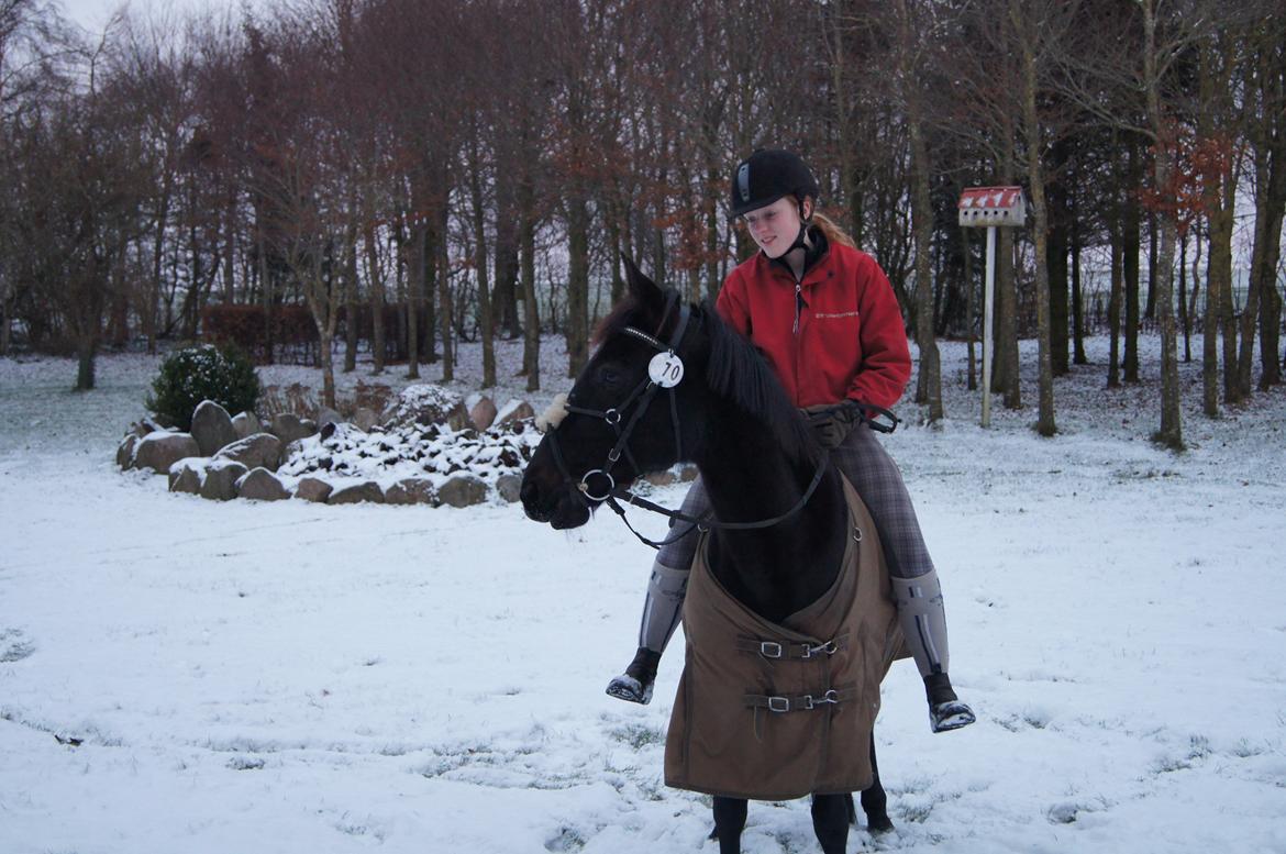 Anden særlig race BLACKIE - 2/12 - 12 I haven billede 15