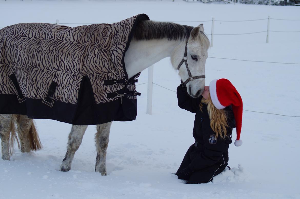 Anden særlig race Jasmin*Solgt )':* <3 billede 6