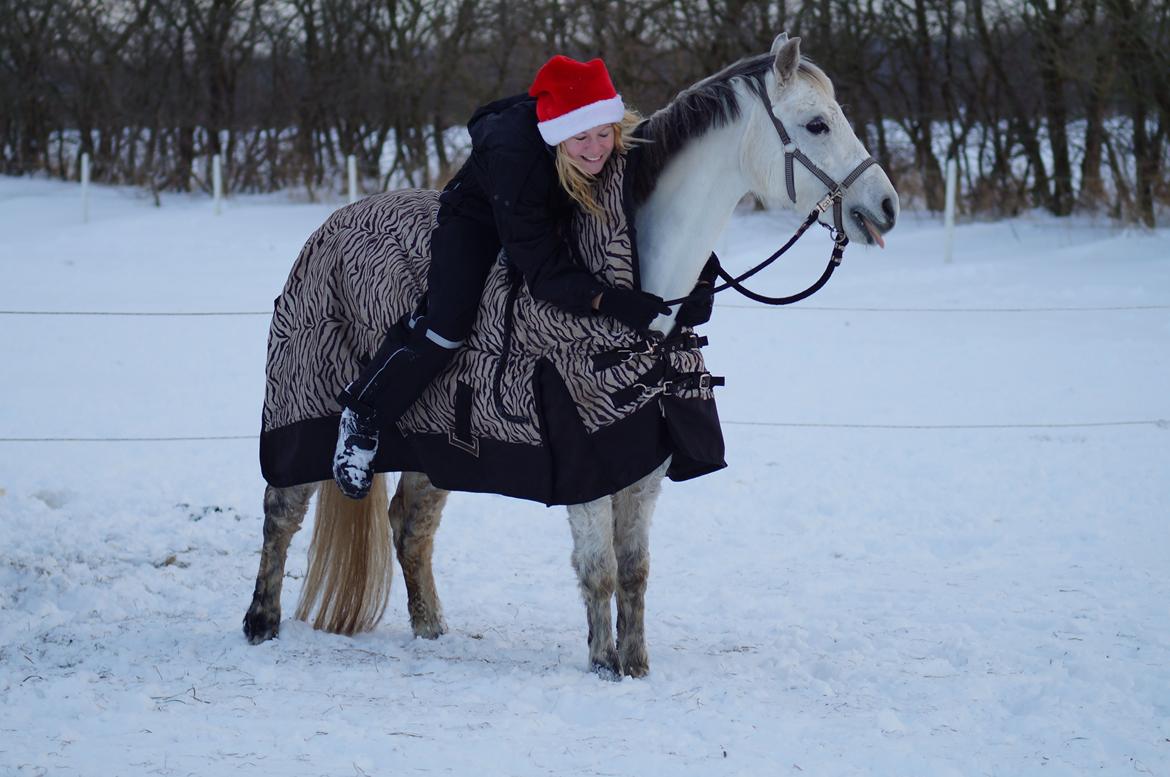 Anden særlig race Jasmin*Solgt )':* <3 billede 4