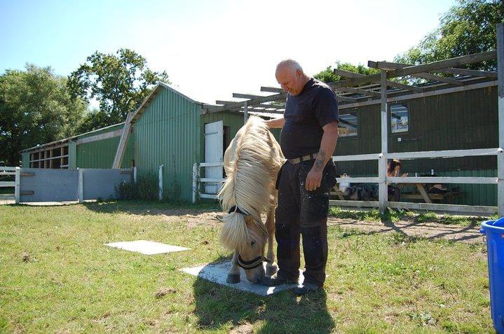 Islænder Kjarni frá Sandhólaferju billede 11