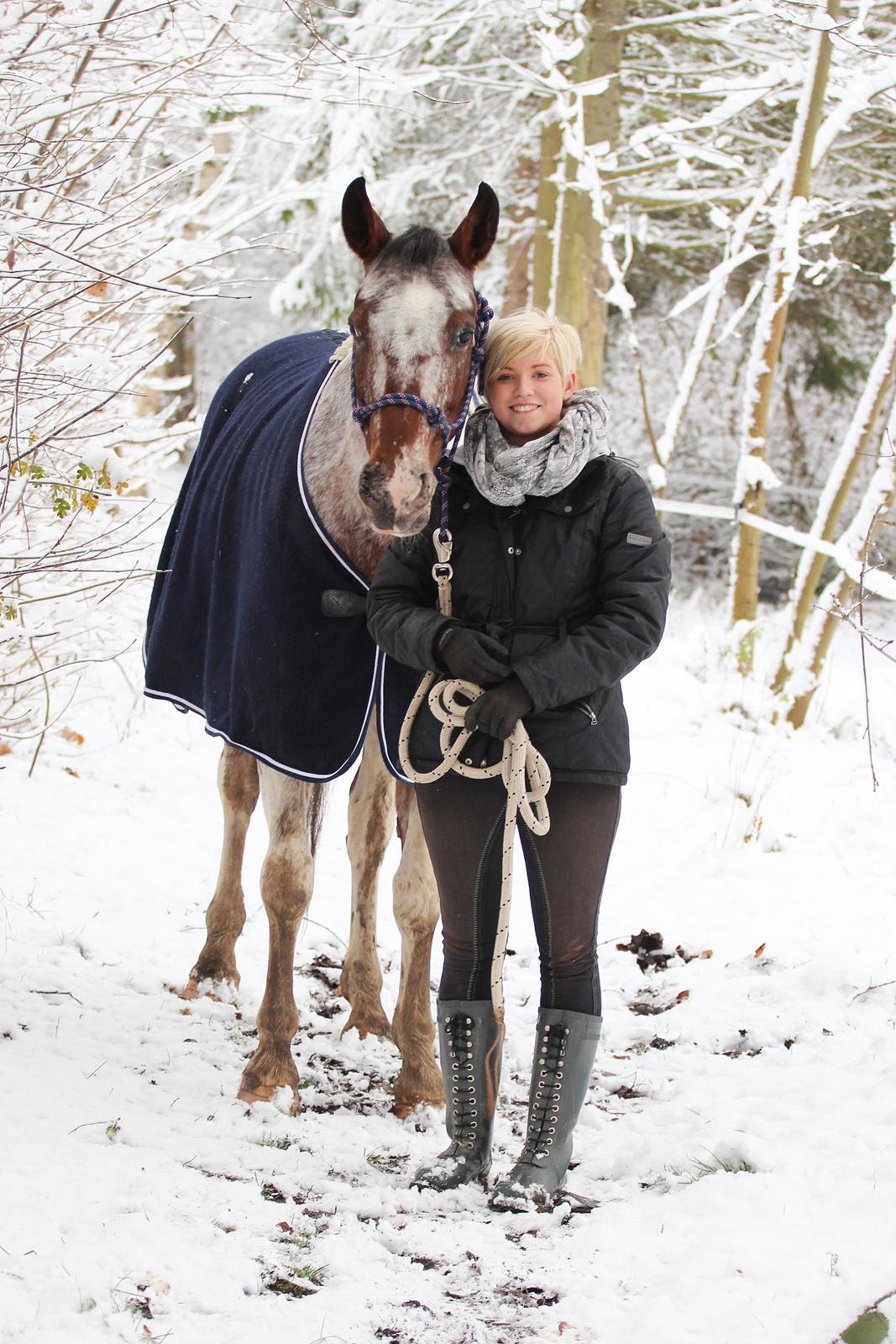 Pinto Isabella Klejs billede 13