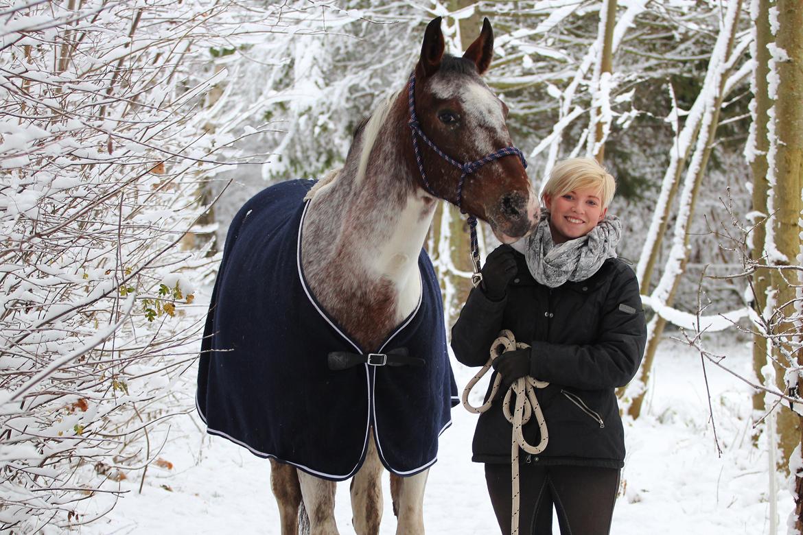 Pinto Isabella Klejs billede 14