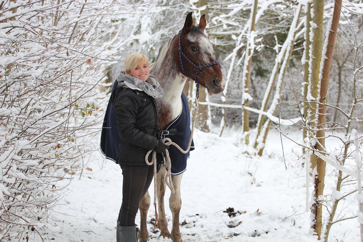 Pinto Isabella Klejs - December 12 billede 15