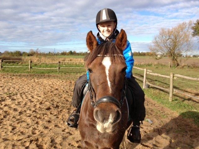 Anden særlig race Santino billede 4