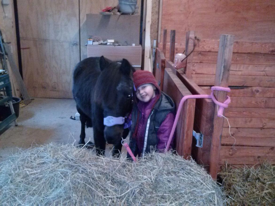 Anden særlig race Findus billede 1