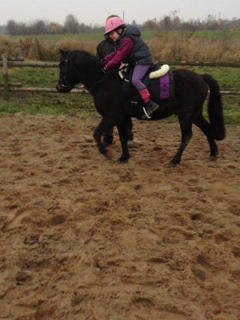 Anden særlig race Findus billede 2