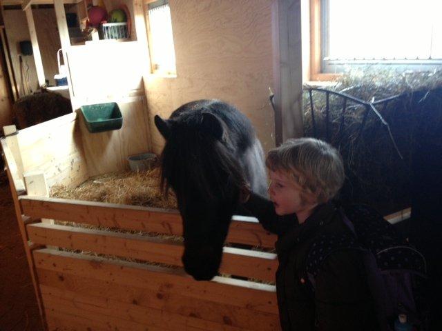 Anden særlig race Findus billede 3