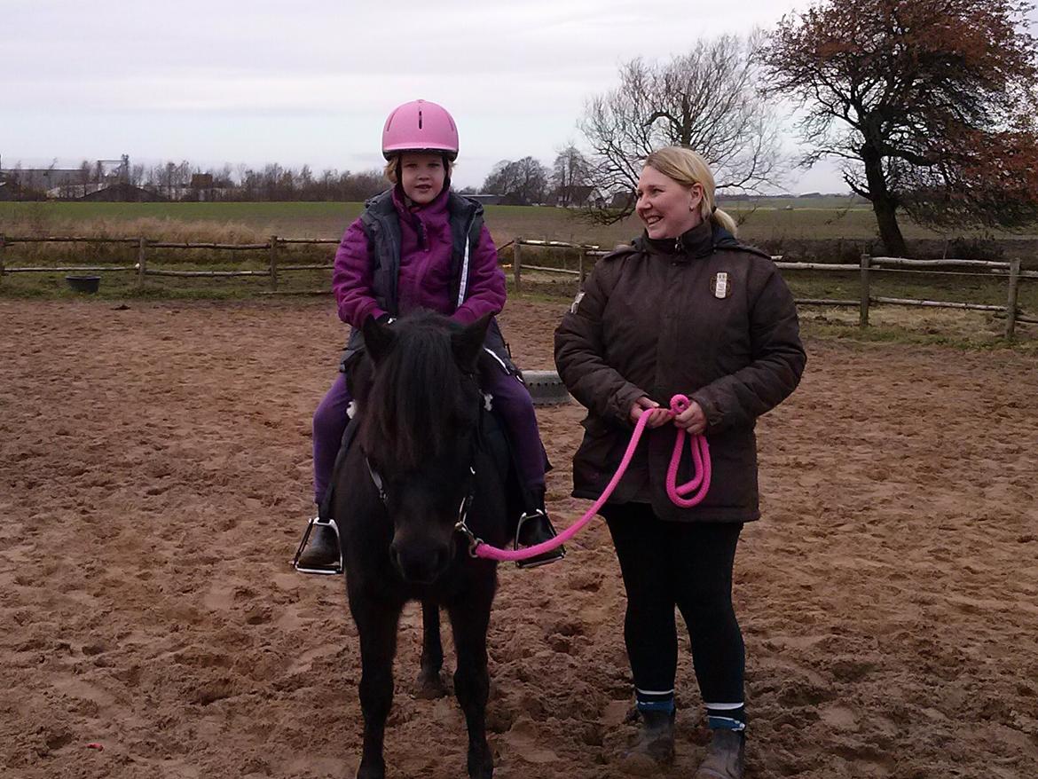 Anden særlig race Findus billede 4