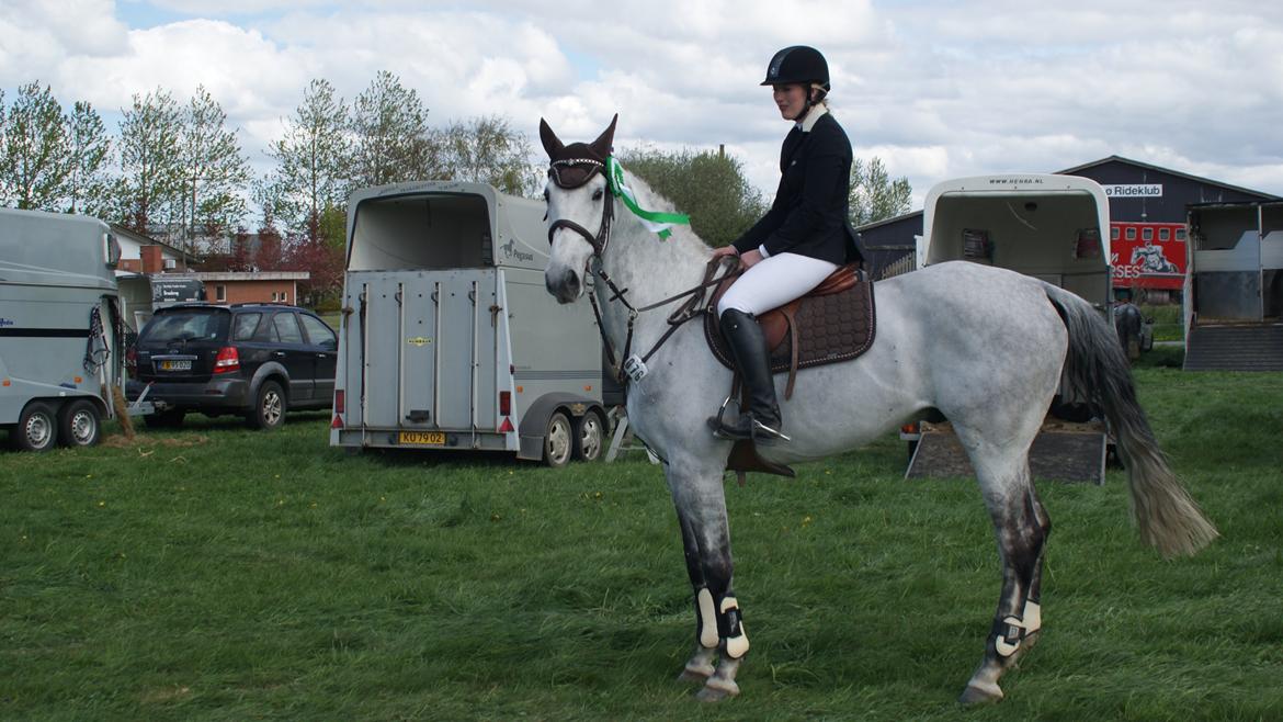 Anden særlig race Marqus billede 2