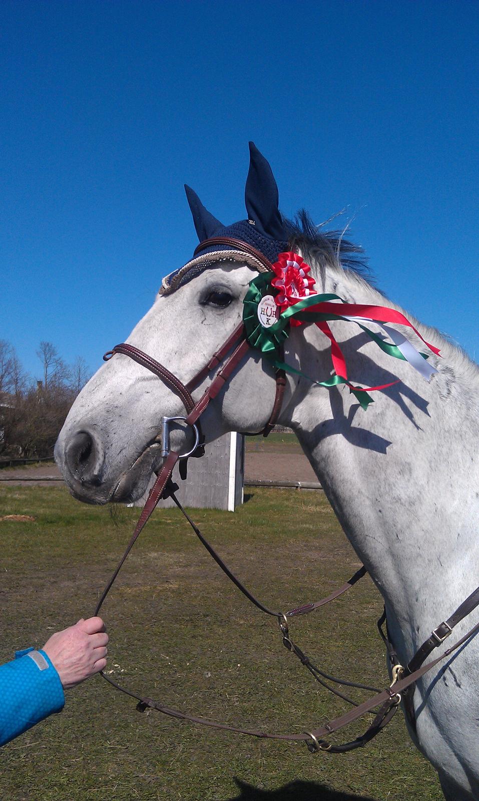 Anden særlig race Marqus billede 4