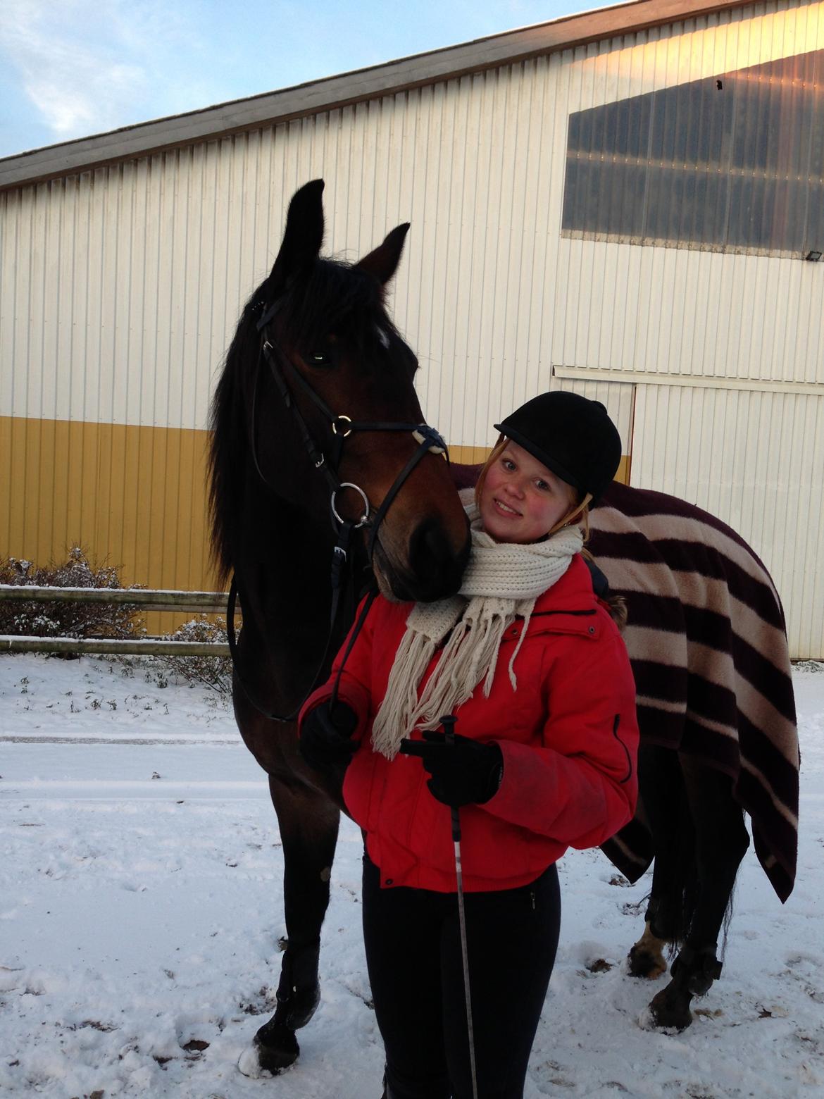 Anden særlig race Flying Maddie - Min søde! Den første sne i december 2012 :-) billede 14