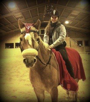 Haflinger Sandy van de Lohöfte (Balder) - December hygge, 2012..<3 billede 7