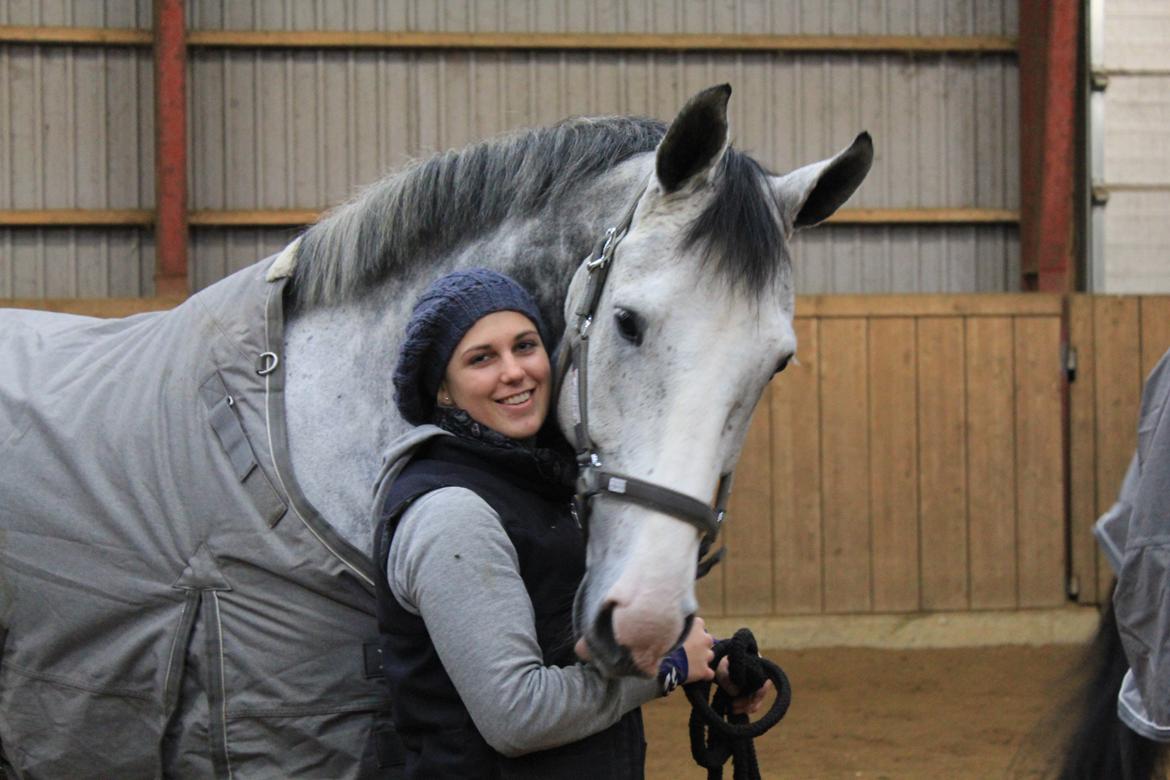 Hannoveraner Dusty billede 10