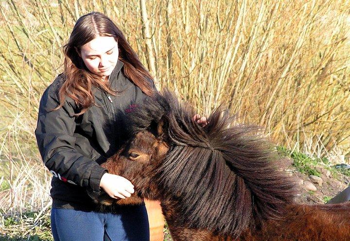 Shetlænder Basse - Sommeren 2010 :)
Sammen med Maya ^^<3 billede 7
