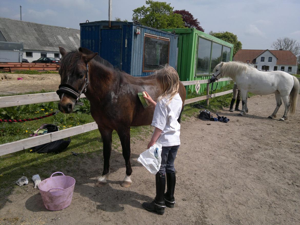 Anden særlig race Tarzan billede 3