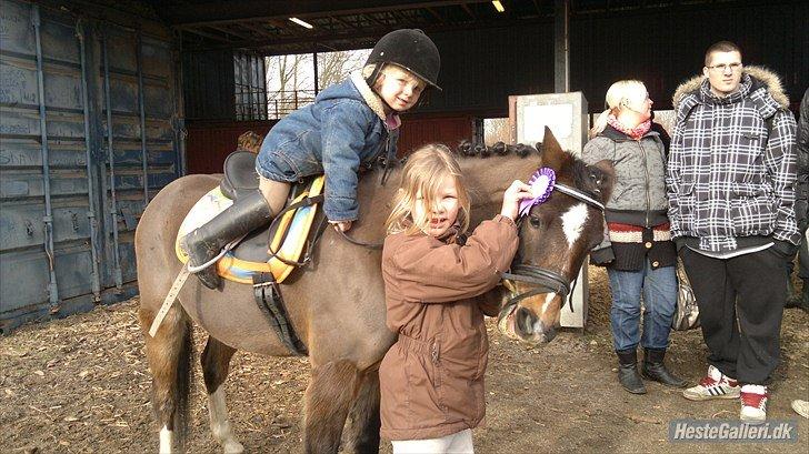 Anden særlig race Tarzan billede 5