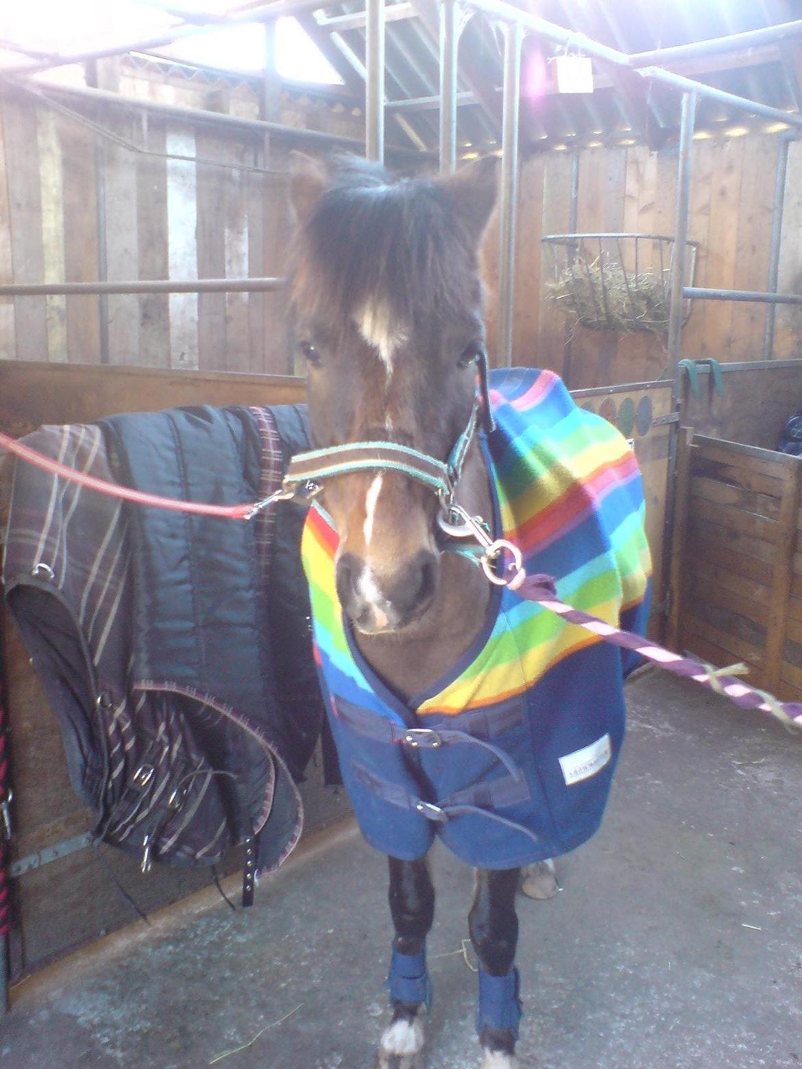 Anden særlig race Tarzan billede 6