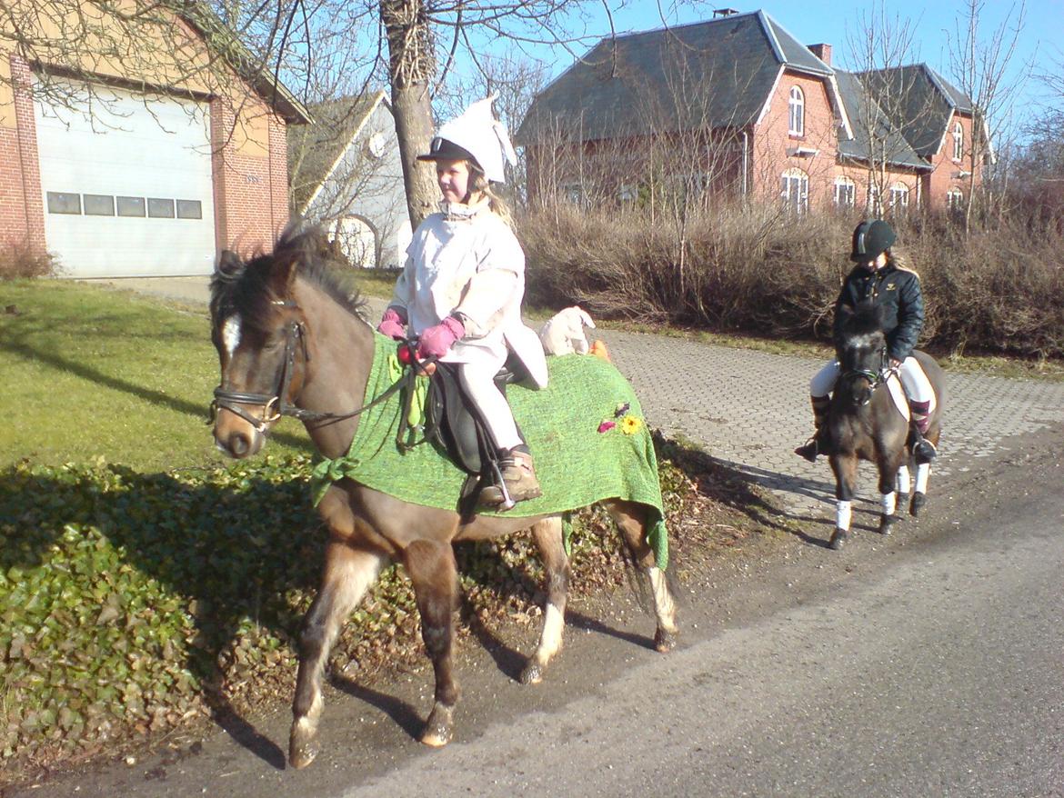 Anden særlig race Tarzan billede 7