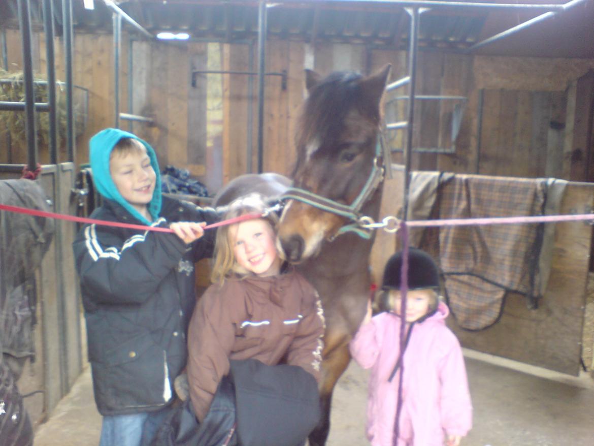 Anden særlig race Tarzan billede 8