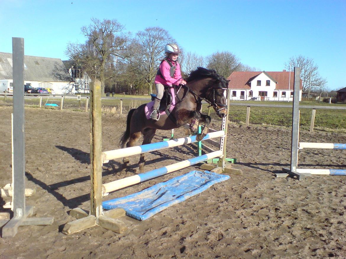 Anden særlig race Tarzan billede 9