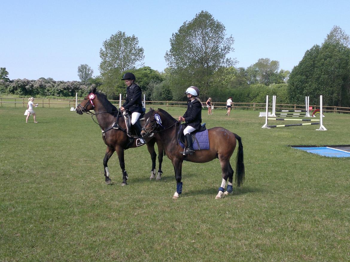 Anden særlig race Tarzan billede 10