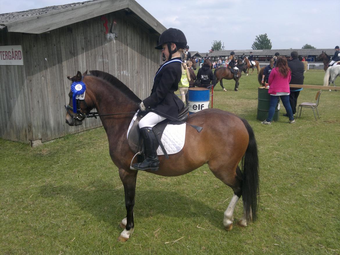 Anden særlig race Tarzan billede 1