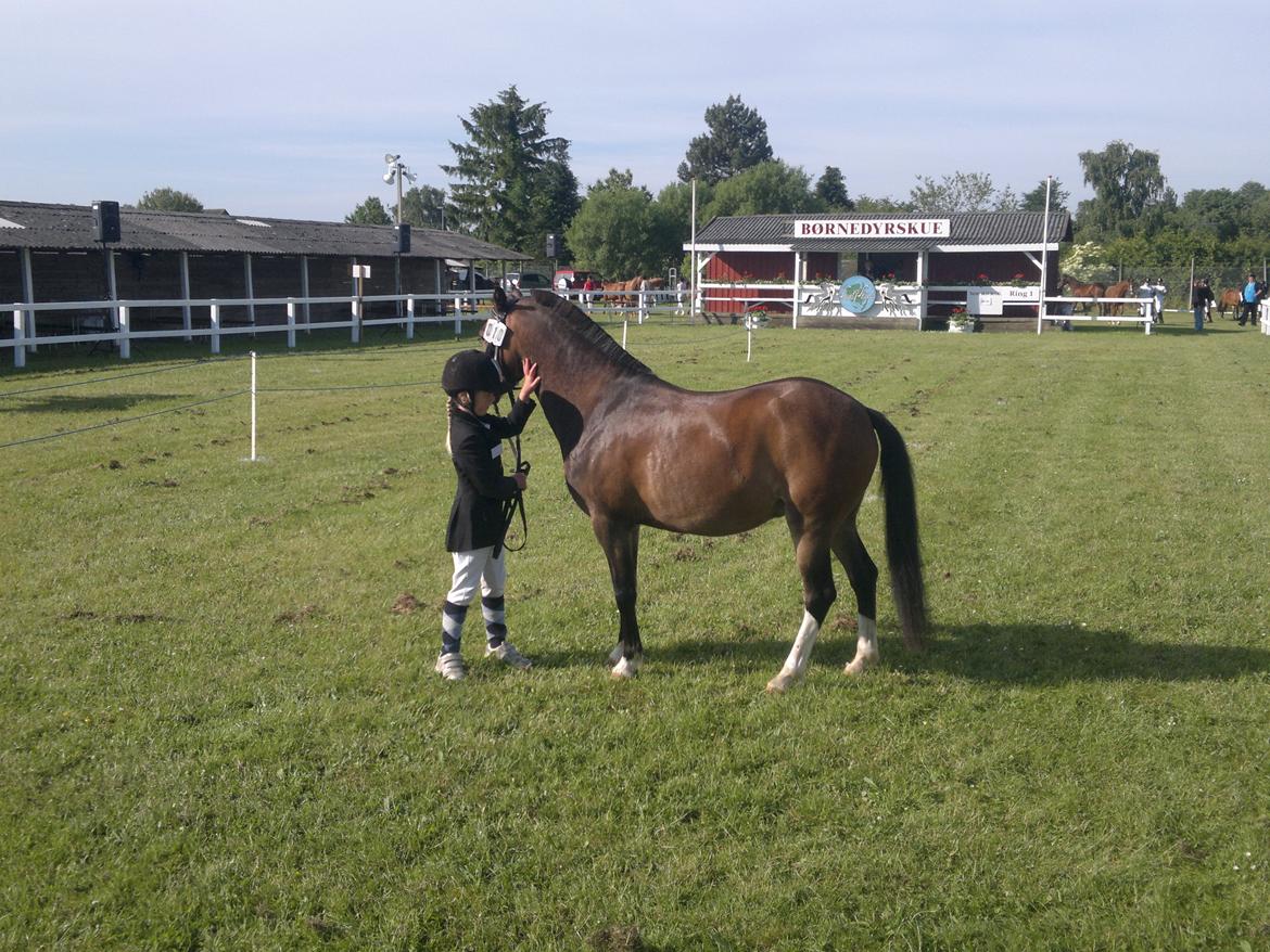Anden særlig race Tarzan billede 11