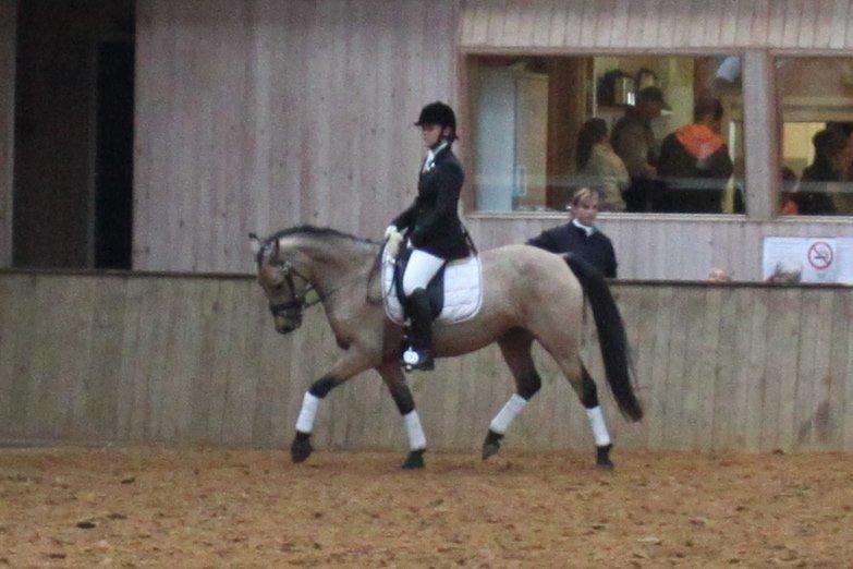 Anden særlig race Assenhøj's Bellezza - ..og vi begynder at ride stævner igen .. LC2 71% sep 2012 billede 17