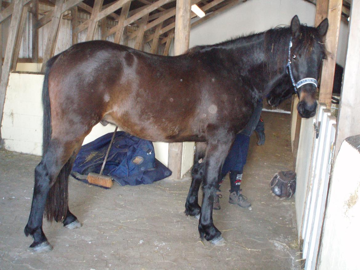 Anden særlig race thor billede 3