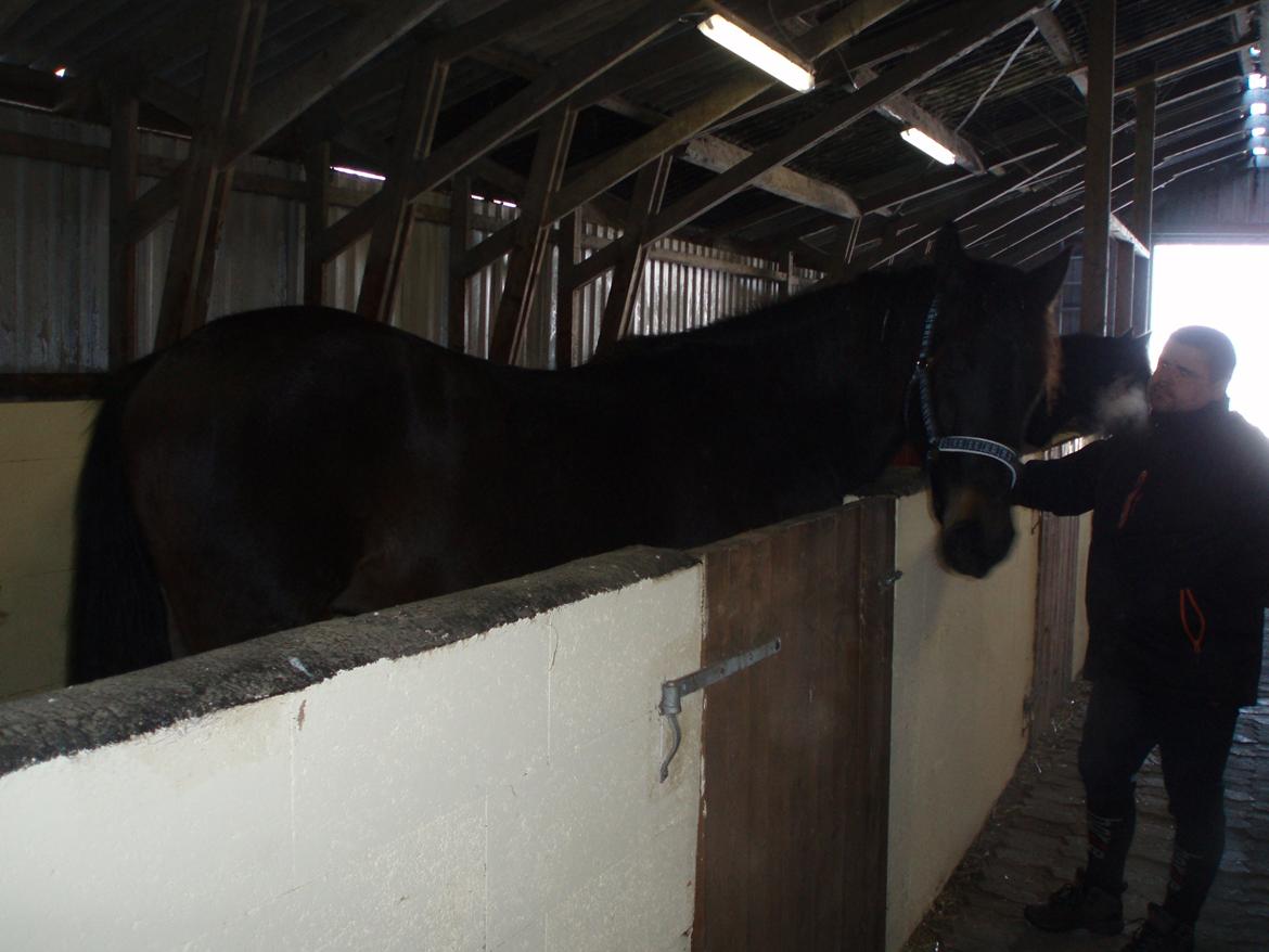 Anden særlig race thor billede 4